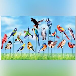 New❣️ 17 Bird Decoration Stakes